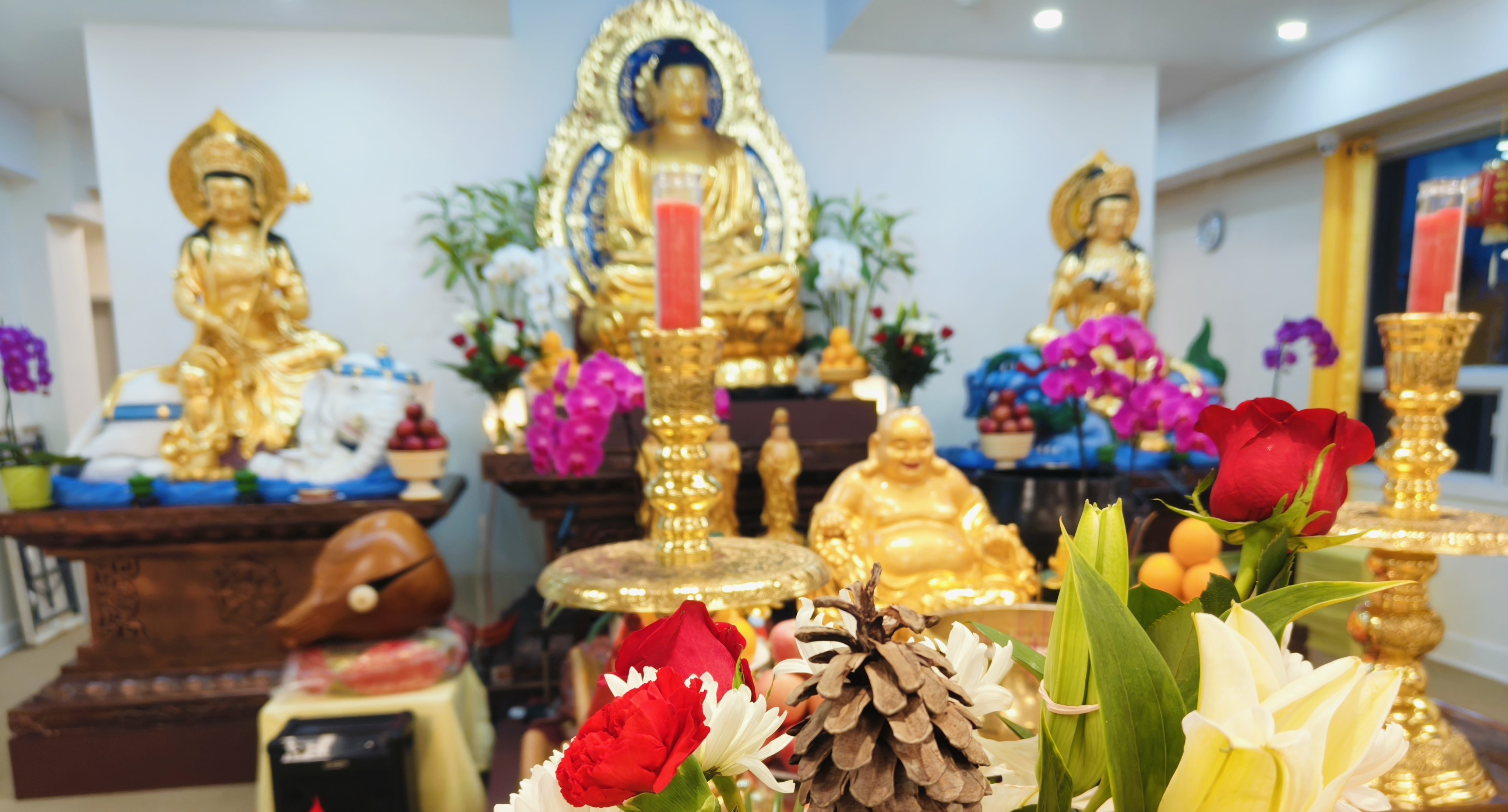 Temple Visual 1